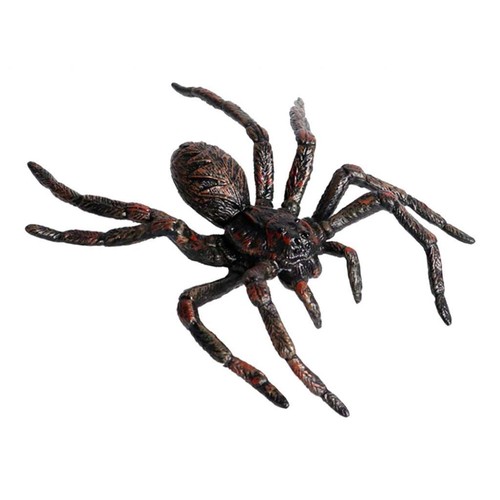 Jouet araignée insecte - jouet, et