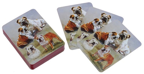 Old english bulldog pet - old,