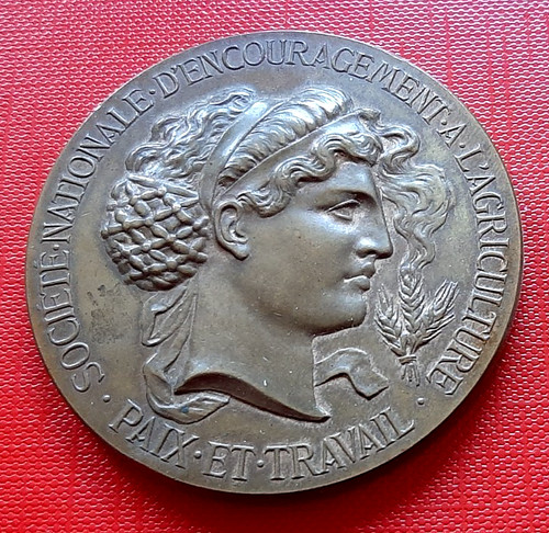 Bronze médaille - bronze,