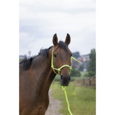 Licol éthologique + longe NORTON "Fluo" pour cheval et poney 