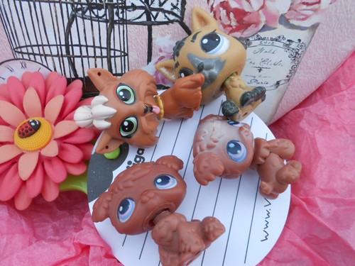 Lot petshop asbro - lot,