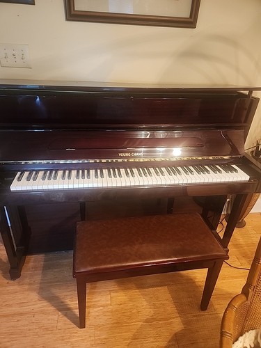 Young chang upright piano - upright,