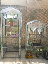 Mini Serre Extérieur Jardin