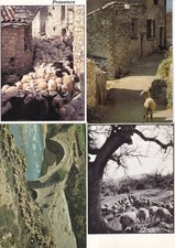Lot de 4 cartes postales