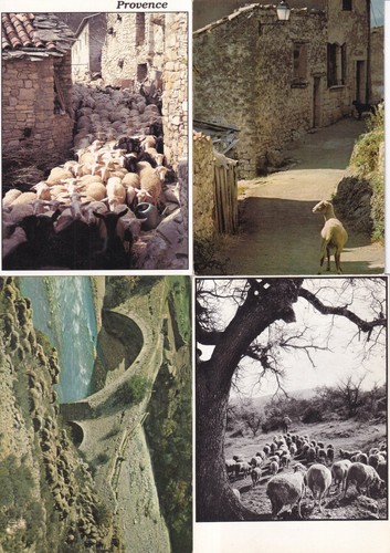 Lot cartes postales - 4,