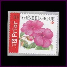 S53054 BELGIQUE MNH** 2004 Fleurs S-A