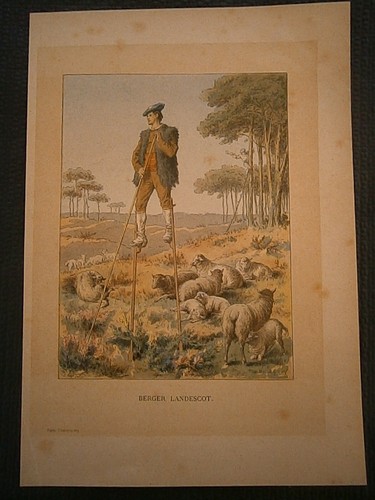 Gravures couleur - ,