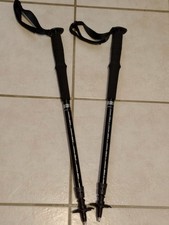 2 bâtons télescopiques de