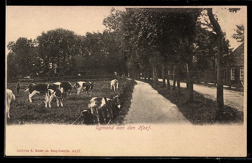Carte postale egmond - egmond, den