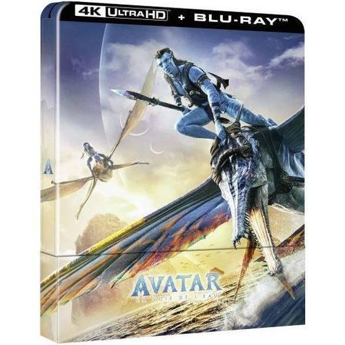 Livre avatar voie - la,