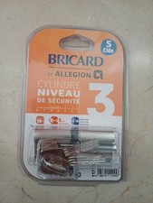 CYLINDRE BRICARD ASTRAL ALLEGION 3 40X40