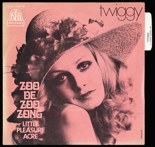 Twiggy zoo - zoo, zong