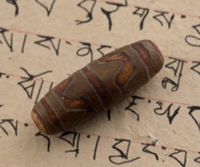 Dzi dent de Tigre Gzi   -