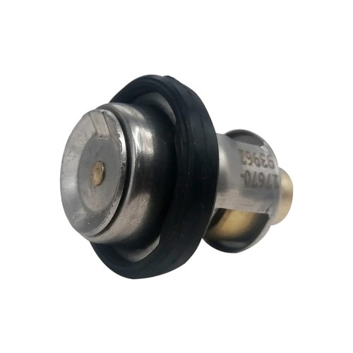 Thermostat moteur hors bord - thermostat,