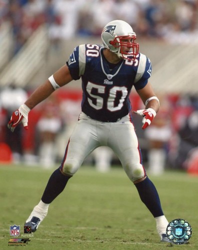 Mike vrabel new - mike, england