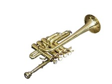 Smart piccolo sale - smart,