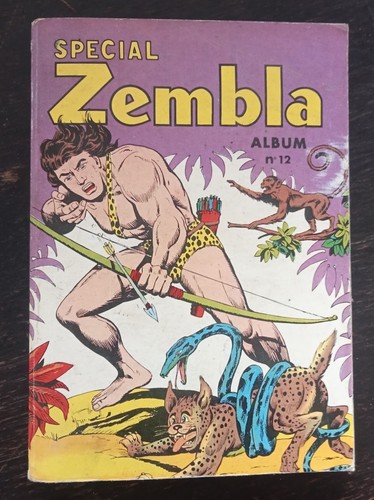 Petit format album - bd, n°12