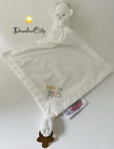 4891 doudou plat mouchoir - 4891🌟doudou,