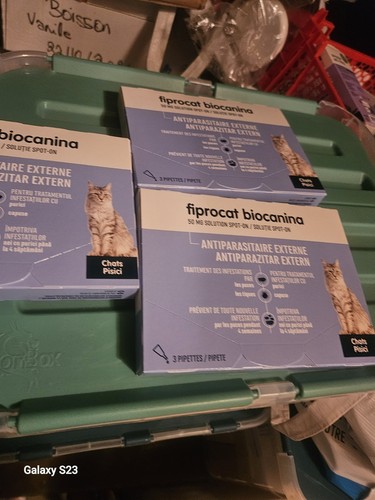 Pipettes chat lot boites - chat,