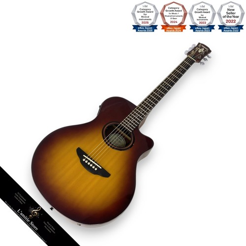 Guitare électrique acoustique