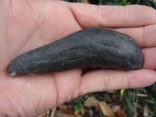 3.910 inch MEG SNACK Georgia