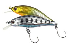 Palms Alexandra FS 50FS 5cm