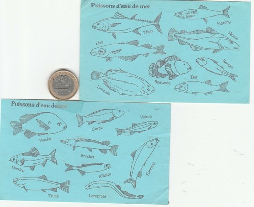 Autocollants pêche - .,