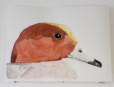 Canard siffleur AQUARELLE ORIGINALE Portrait d'oiseau Oie Peinture Nature