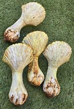 Griffes D aigle / 4 Anciens pieds en fonte de baignoire...