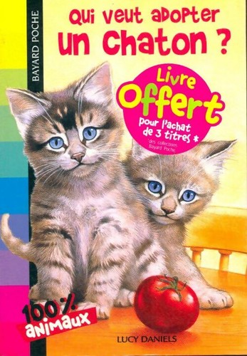 Qui veut adopter chaton - veut, ?