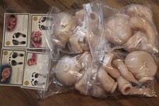 4 Reborn Doll Kits COA Claudia