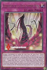 ♦Yu-Gi-Oh!♦ Floraison de la Plus Sombre Rose (Dragon Noir): LED4-FR027 -VF/Rare-