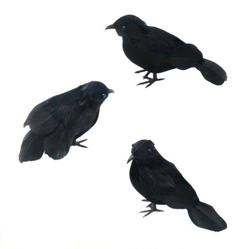 Pièces corbeau réaliste - 3,