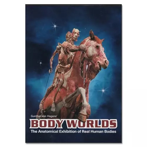 Body worlds the anatomical - body,
