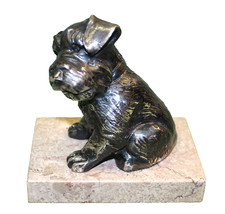 Petit chien en régule