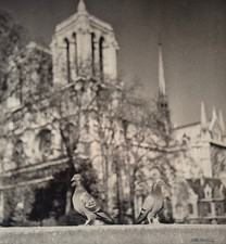 Albert monier très grands - albert,