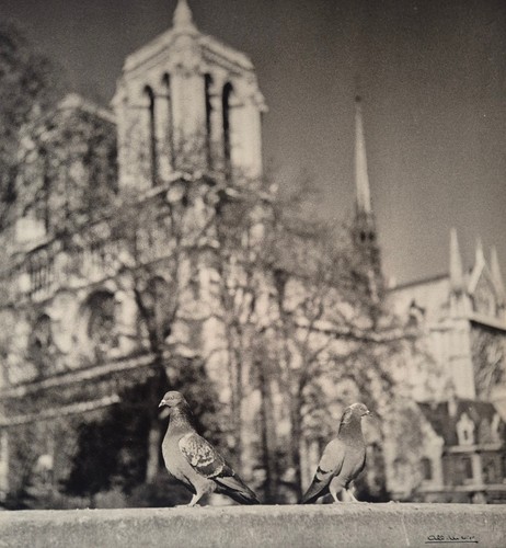 Albert monier très - très, grands