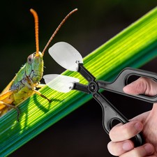  3 pcs Reptile Alimentation