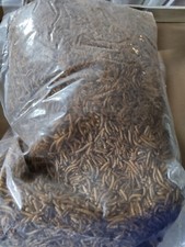 1 Kg de vers de farine lyophilisé Koi poule reptiles