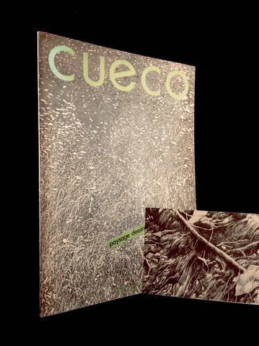 Cueco paysage dessiné - paysage,