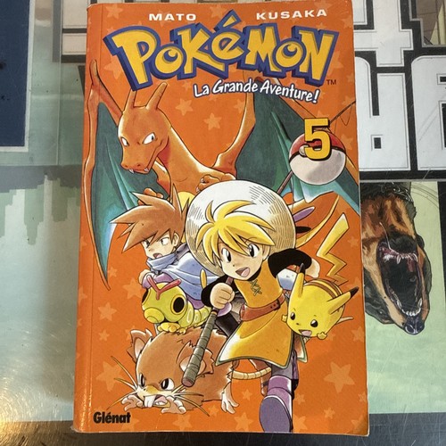 Livre manga pokémon - livre,