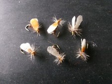 6 véritables mouches de