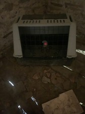 caisse de transport pour chien XXL