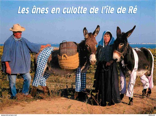 Carte postale ile de - -,