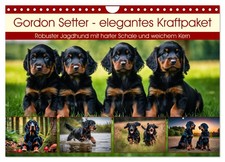 Le setter Gordon - un