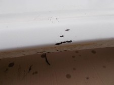 Pare choc arriere PEUGEOT 306