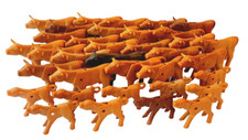 Playmobil 25 vaches et