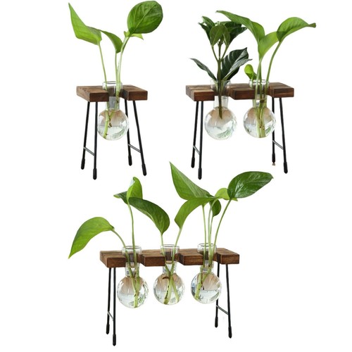 Vase fleur hydroponique - vase,
