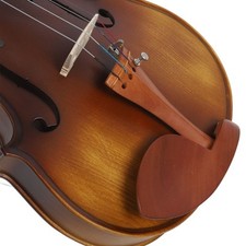 Kit De Violon Professionnel