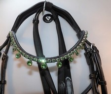 Suédois Mors Noir Vert Clair